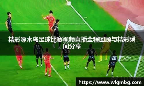 精彩啄木鸟足球比赛视频直播全程回顾与精彩瞬间分享